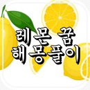 레몬의 꿈 이미지