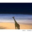 기린주유소 이미지