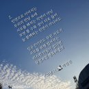 수요일에 듣는 싱어게인 4-9회 이미지