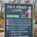 신디농장 | 구로구 주말농장 당첨후기 1년에 6만원 도시에서 작물키우기