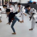 호반효태권도 이미지