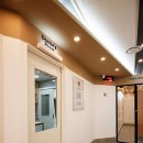 권오성동물병원 이미지