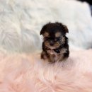 품안농장 이미지