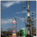 촌닭 | 고흥군맛집 백숙 포두촌닭 토종닭 후기