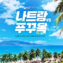 노랑풍선 이데일리
