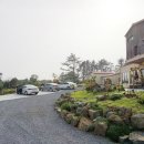 틸다하우스 이미지