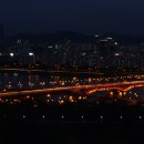 응봉산 Daum카페