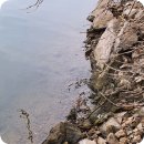 분당파피루스안경 | [편광선글라스] 사이트마스터(Sight Master) 에노메(ENORME) 블랙 SWR 라이트 그레이 실버미러 언박싱...