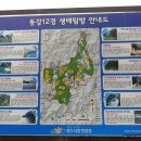 동강의낙원 이미지