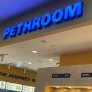 우리짐 홍대점 | 홍대 소품샵 추천 페스룸 AK플라자 홍대점 반려동물 용품 쇼핑 솔직후기