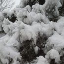 우신고등학교 이미지