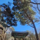 선암서원 주차장 | 2026年 1月 6日 경남 김해시 삼방동 신어산(神魚山)