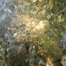 여울목 민박 | 충남 아산시 강당골 계곡