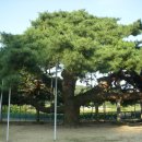 예천온천 이미지