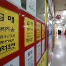추진부동산공인중개사사무소 이미지