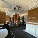 개 좋은 세상 이미지