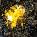 도야족발 이미지