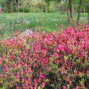 한밭수목원1 이미지