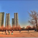 서울숲6 이미지