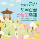 2024 금산 보곡 산골 산벚꽃 축제-산꽃벌꽃마을 오토캠핑장 일원 이미지