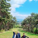 [맨발걷기좋은길]춘천 장절공 신숭겸장군 묘역 (시민기자정미경)