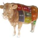 임계사육농가한우직판장 네이버블로그