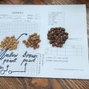 바리스타초급(화) 이미지