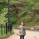 덕원관광농원 이미지