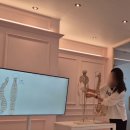 휴먼시아 5단지(행정17리) | 첨단필라테스 이제 시작하시는 분들을 위한 나인필라테스 후기