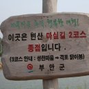 바다마실 이미지