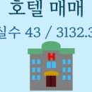 서귀동-43 네이버블로그