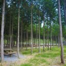 달산농장 이미지