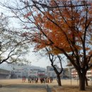 김천초등학교 이미지