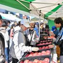 파크골프 / 강좌번호 21 이미지