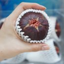 청솔축산 이미지