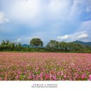 가조온천 이미지