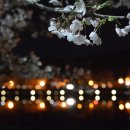 은파시민공원 네이버블로그