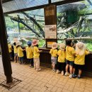 🦁늘찬반의 청주 동물원 견학🐯 이미지
