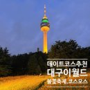코스모스가든 | 대구 이월드 불꽃축제 및 황화코스모스 가든 방문후기(야간입장) 데이트코스 추천