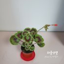 이파리282가든