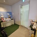 원애견샵 이미지