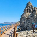 "한반도 호랑이 꼬리, 바다 위를 걷는 길" 포항 호미반도 해안둘레길=총길이 58km 이미지