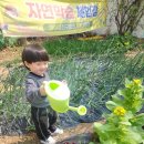아이성어린이집 이미지