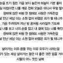 10월의 어느 멋진 날에, 이미지