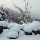 축령산휴림 이미지