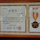 노일호 특수목적견 Daum카페
