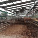 선산대로10-7 이미지