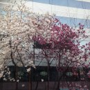 마중행정사 사무소 이미지