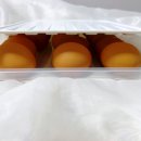 퍼털그라운드