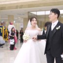 씨엘비티 | 대전·충청 웨딩 준비 중이라면? 라도무스·씨엘드포레·선샤인웨딩홀 등 따끈한 소식 총정리